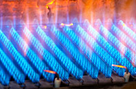 Cefn Berain gas fired boilers